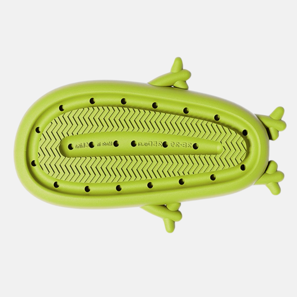 Funny Frog Slippers